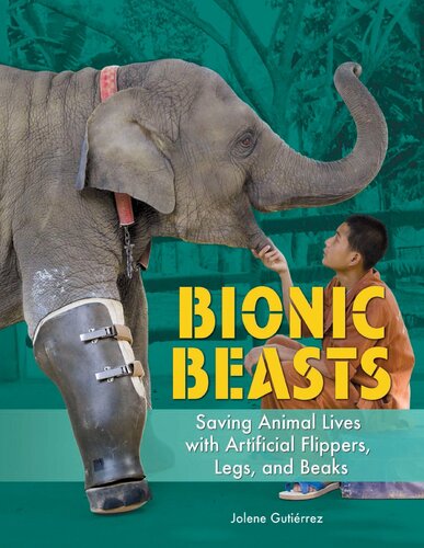 Bionic Beasts: Saving Animal Lives with Artificial Flippers, Legs, and Beaks