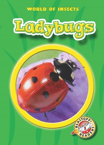 Ladybugs