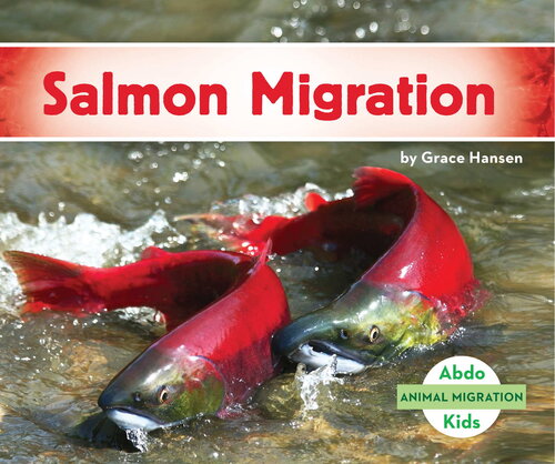 Salmon Migration