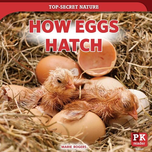 How Eggs Hatch