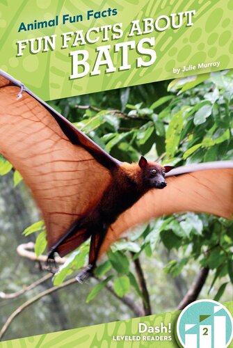 Fun Facts about Bats