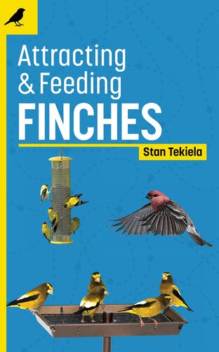 Attracting & Feeding Finches