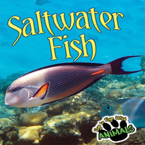 Saltwater Fish