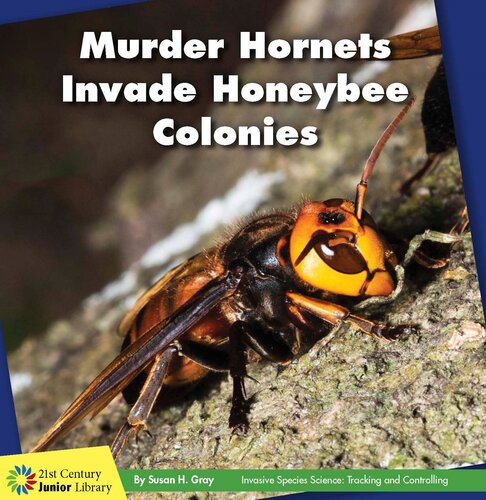 Murder Hornets Invade Honeybee Colonies