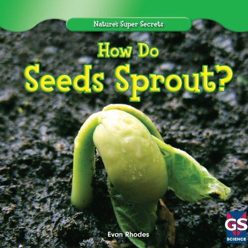 How Do Seeds Sprout?