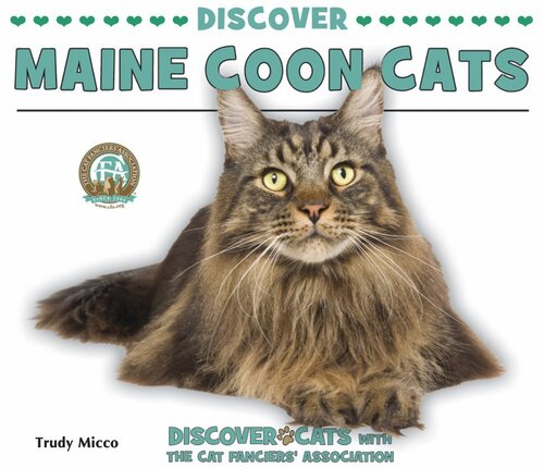 Discover Maine Coon Cats