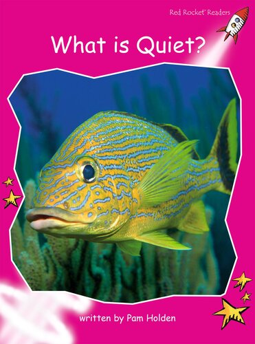 What Is Quiet?