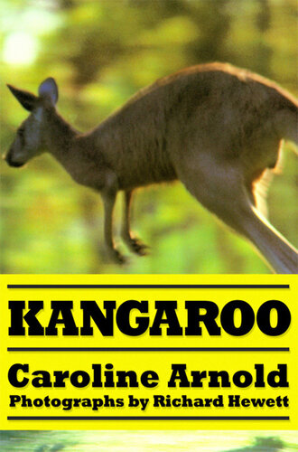 Kangaroo