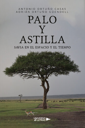 PALO y ASTILLA