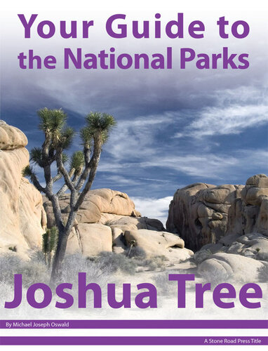 Your Guide to Joshua Tree National Park