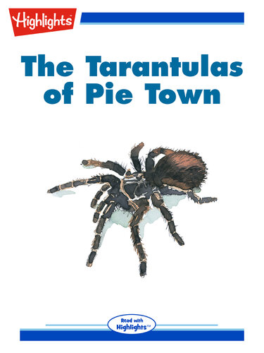 The Tarantulas of Pie Town