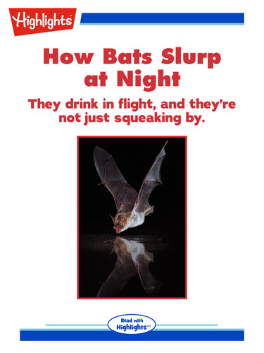 How Bats Slurp at Night