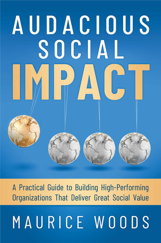 Audacious Social Impact: A Practical Guide to Building High-Performing Organizations That Deliver Great Social Value