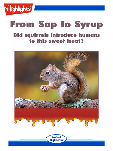 From Sap to Syrup