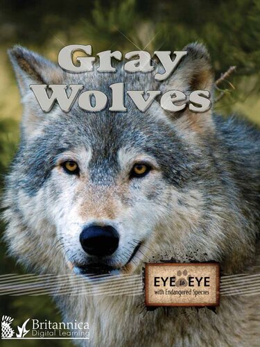 Gray Wolves