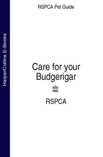 Care for your Budgerigar