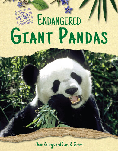 Endangered Giant Pandas