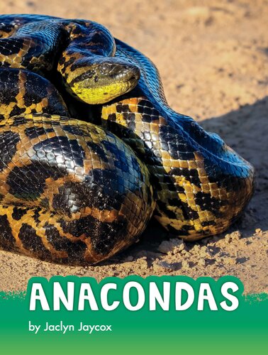 Anacondas