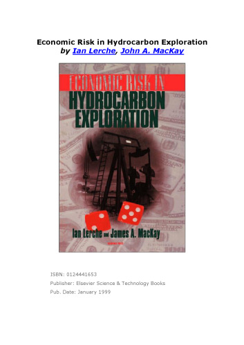 Economic Risk in Hydrocarbon Exploration