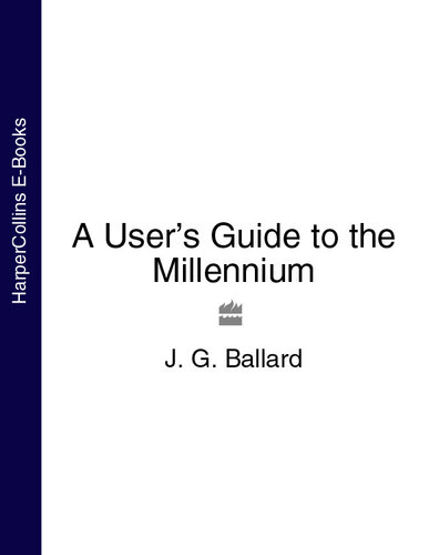 A User's Guide to the Millennium