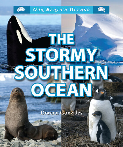 The Stormy Southern Ocean