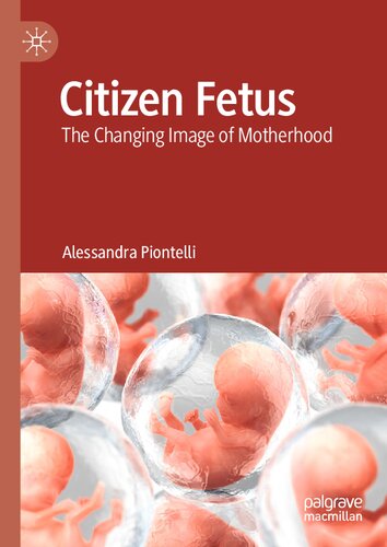 Citizen Fetus: The Changing Image of Motherhood