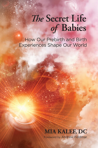 The Secret Life of Babies: How Our Prebirth and Birth Experiences Shape Our World