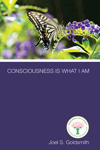 Consciousness is What I Am