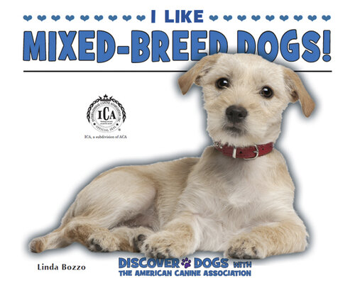 I Like Mixed-Breed Dogs!