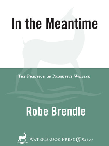 In the Meantime: The Practice of Proactive Waiting