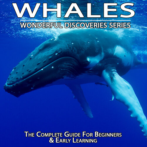 Whales: Wonderful Discoveries