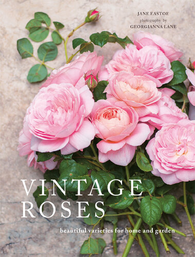 Vintage Roses: Beautiful Varieties for Home and Garden