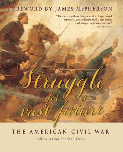 Struggle for a vast future: The American Civil War