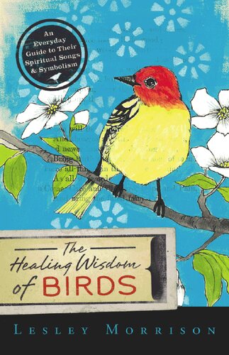 The Healing Wisdom of Birds: An Everyday Guide to Their Spiritual Songs & Symbolism