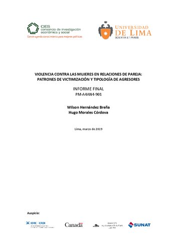 VIOLENCIA CONTRA LAS MUJERES EN RELACIONES DE PAREJA: PATRONES DE VICTIMIZACIÓN Y TIPOLOGÍA DE AGRESORES INFORME FINAL