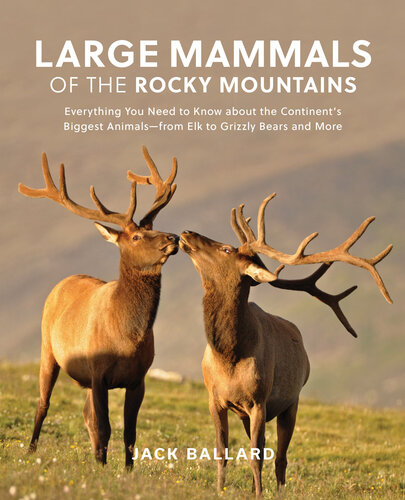 Large Mammals of the Rocky Mountains: Everything You Need to Know about the Continent's Biggest Animals—from Elk to Grizzly Bears and More