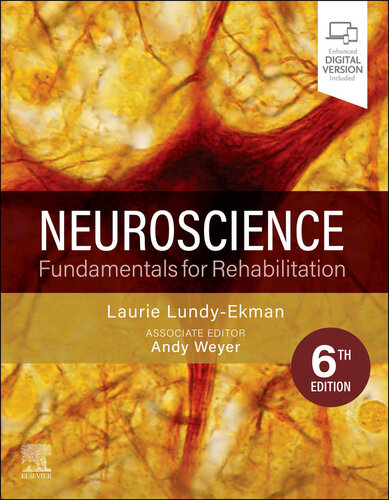 Neuroscience Fundamentals for Rehabilitation