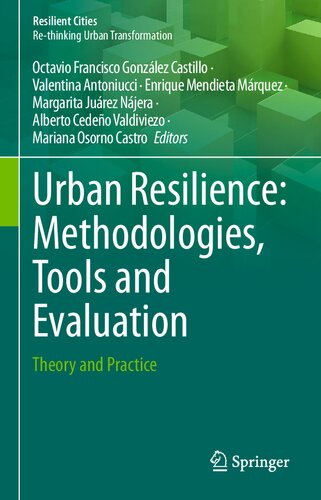 Urban Resilience: Methodologies, Tools and Evaluation: Theory and Practice