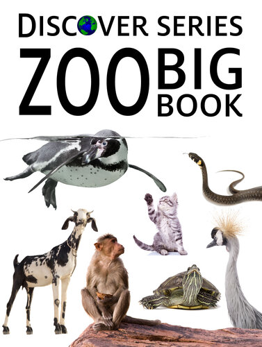 Zoo Big Book