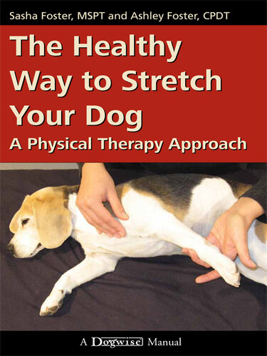 The Healthy Way to Stretch Your Dog: A Physical Therapy Approach