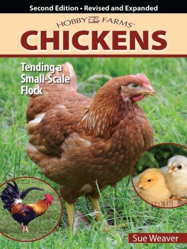 Chickens: Tending a Small-Scale Flock