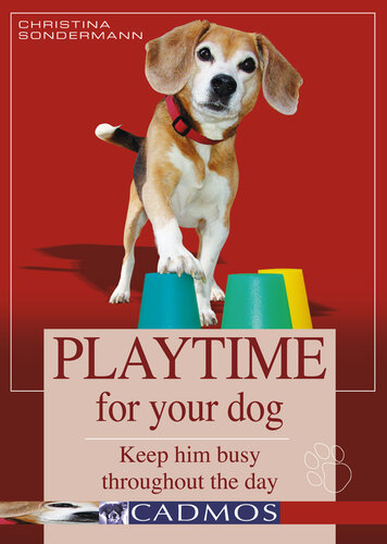 Playtime for Your Dog: Keep Him Busy Throughout the Day