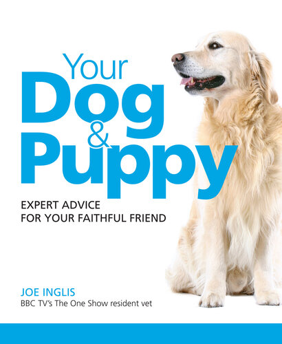 Your Dog & Puppy: Expert Advice For Your Faithful Friend