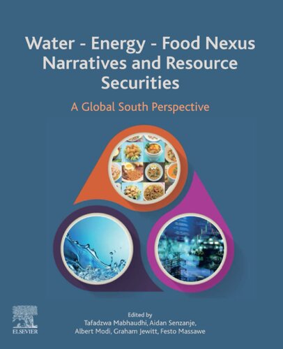 Water - Energy - Food Nexus Narratives and Resource Securities: A Global South Perspective