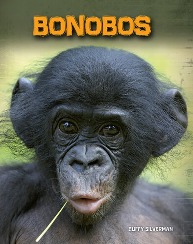 Bonobos