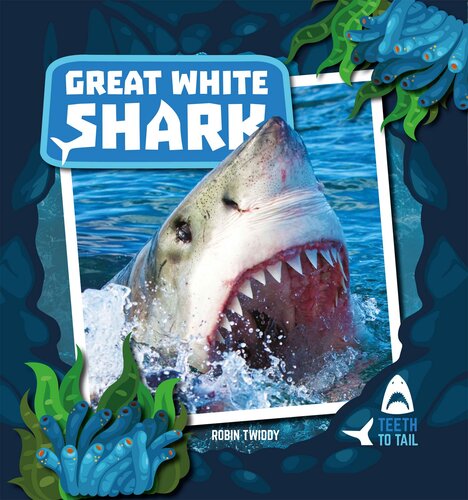 Great White Shark