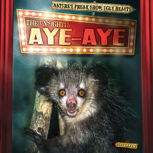 The Unsightly Aye-Aye