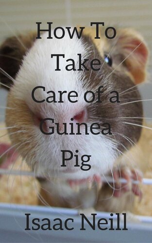 How to Take Care of a Guinea Pig