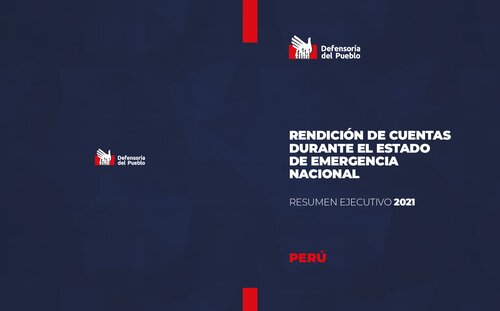 Rendición de cuentas durante el estado de emergencia nacional. Resumen ejecutivo 2021