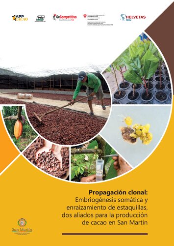 Propagación clonal: Embriogénesis somática y enraizamiento de estaquillas, dos aliados para la producción de cacao (Theobroma cacao L.) en San Martín (Perú)